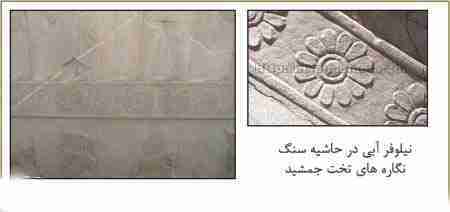 نقش-گل-نیلوفر-در-تخت-جمشید
