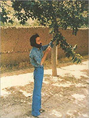 سهراب سپهری
