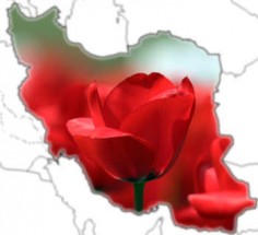 وطن