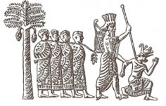 شاهنشاه کمبوجیه