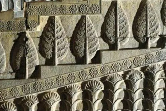 سرو در تخت جمشید