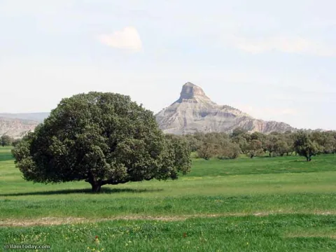 zagros6