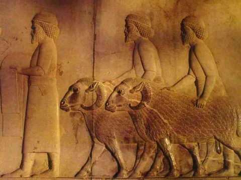 نگاره ورودي پارسه