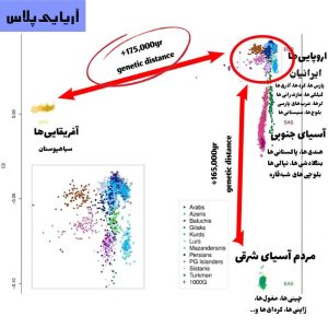 فاصله-ژنتیکی-ایرانیان-آیا-ایرانیان-و-اروپایی-یک-نژاد-هستند-1-1
